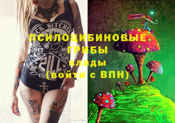 первитин Белокуриха