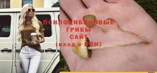 соль ск Балахна